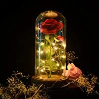 shirylzee La Bella y La Bestia Rosa Encantada- Rosa Eterna Flower Lamp en Glass Dome Luces LED Rosa de Seda Roja Regalos…